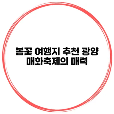 봄꽃 여행지 추천 광양 매화축제의 매력