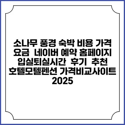 소나무 풍경 숙박 비용 가격 요금 | 네이버 예약 홈페이지 | 입실퇴실시간 | 후기 | 추천 | 호텔모텔펜션 가격비교사이트 2025