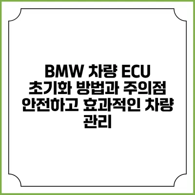 BMW 차량 ECU 초기화 방법과 주의점: 안전하고 효과적인 차량 관리