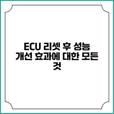 ECU 리셋 후 성능 개선 효과에 대한 모든 것