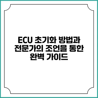 ECU 초기화 방법과 전문가의 조언을 통한 완벽 가이드