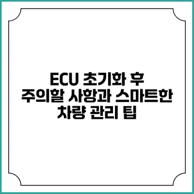 ECU 초기화 후 주의할 사항과 스마트한 차량 관리 팁