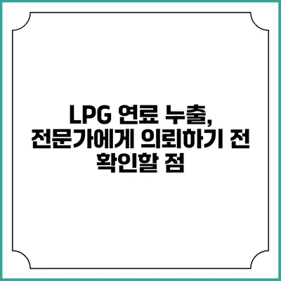 LPG 연료 누출, 전문가에게 의뢰하기 전 확인할 점