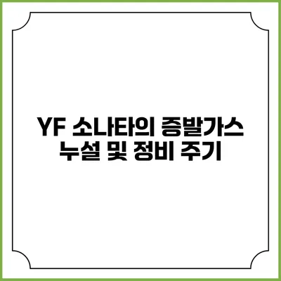 YF 소나타의 증발가스 누설 및 정비 주기