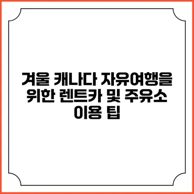 겨울 캐나다 자유여행을 위한 렌트카 및 주유소 이용 팁
