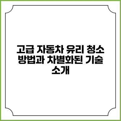 고급 자동차 유리 청소 방법과 차별화된 기술 소개