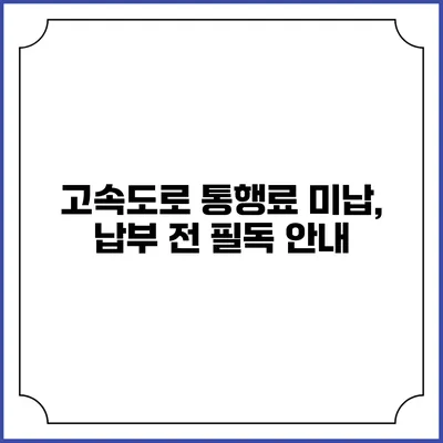 고속도로 통행료 미납, 납부 전 필독 안내