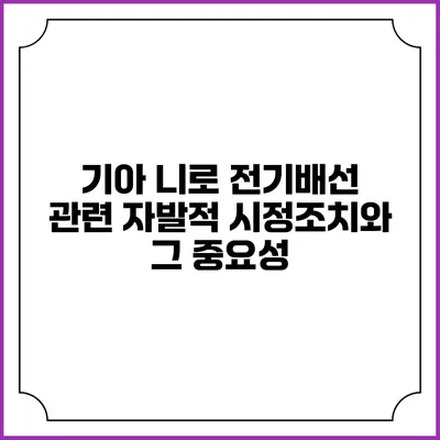 기아 니로 전기배선 관련 자발적 시정조치와 그 중요성