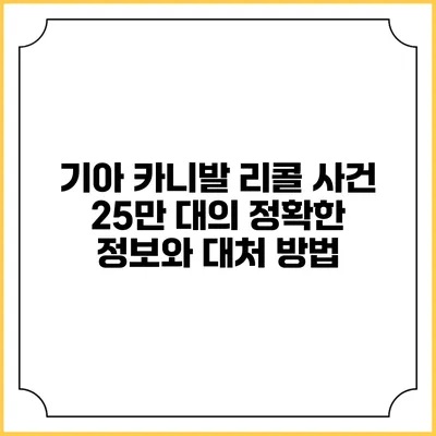 기아 카니발 리콜 사건: 25만 대의 정확한 정보와 대처 방법