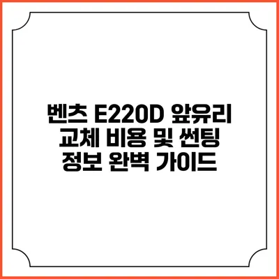 벤츠 E220D 앞유리 교체 비용 및 썬팅 정보 완벽 가이드