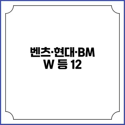 벤츠·현대·BMW 등 12