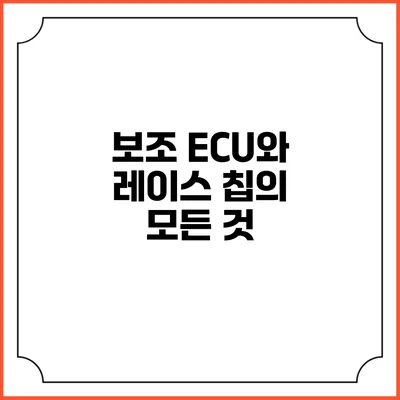 보조 ECU와 레이스 칩의 모든 것