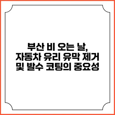 부산 비 오는 날, 자동차 유리 유막 제거 및 발수 코팅의 중요성