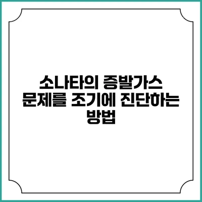 소나타의 증발가스 문제를 조기에 진단하는 방법