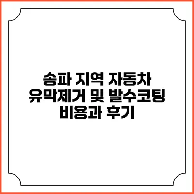 송파 지역 자동차 유막제거 및 발수코팅 비용과 후기