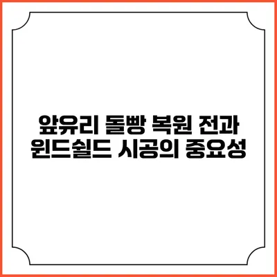 앞유리 돌빵 복원 전과 윈드쉴드 시공의 중요성