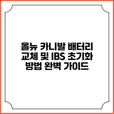 올뉴 카니발 배터리 교체 및 IBS 초기화 방법 완벽 가이드