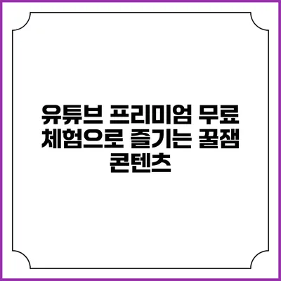 유튜브 프리미엄 무료 체험으로 즐기는 꿀잼 콘텐츠