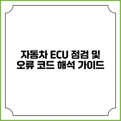 자동차 ECU 점검 및 오류 코드 해석 가이드