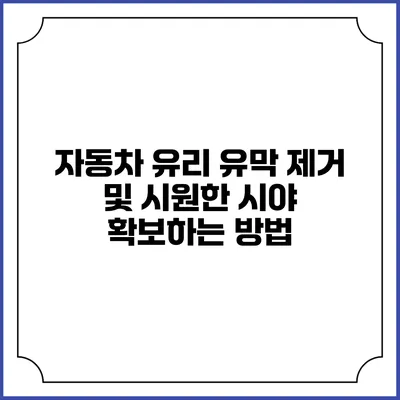 자동차 유리 유막 제거 및 시원한 시야 확보하는 방법