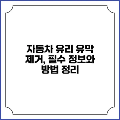 자동차 유리 유막 제거, 필수 정보와 방법 정리