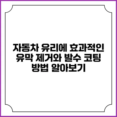 자동차 유리에 효과적인 유막 제거와 발수 코팅 방법 알아보기