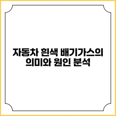 자동차 흰색 배기가스의 의미와 원인 분석