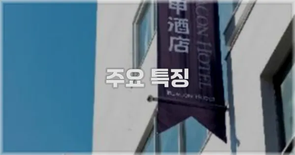 ✨ 주요 특징