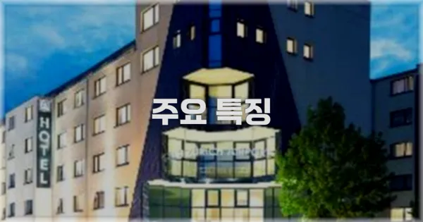✨ 주요 특징