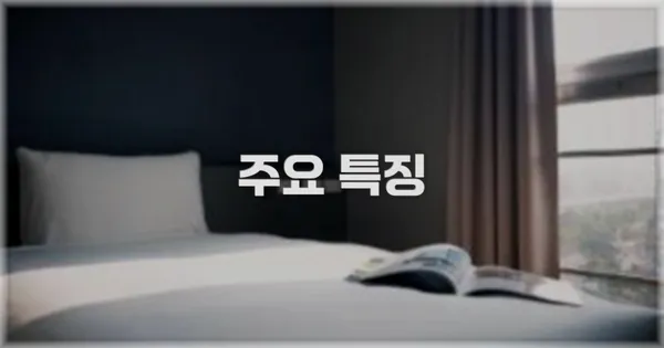 ✨ 주요 특징