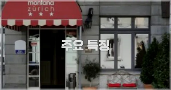 ✨ 주요 특징