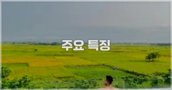 ✨ 주요 특징