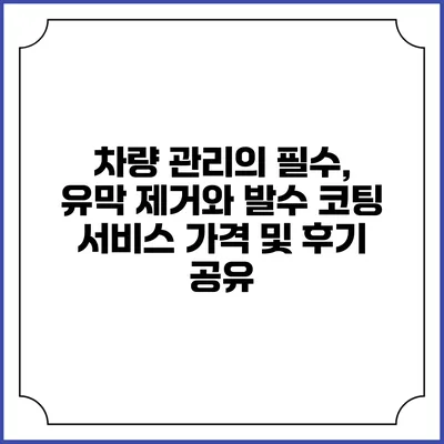 차량 관리의 필수, 유막 제거와 발수 코팅 서비스 가격 및 후기 공유