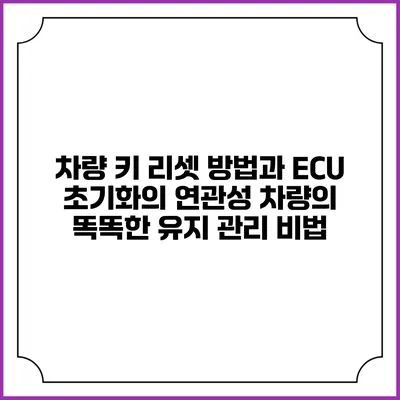 차량 키 리셋 방법과 ECU 초기화의 연관성: 차량의 똑똑한 유지 관리 비법
