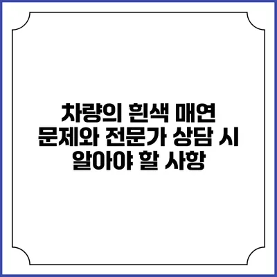 차량의 흰색 매연 문제와 전문가 상담 시 알아야 할 사항