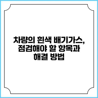 차량의 흰색 배기가스, 점검해야 할 항목과 해결 방법