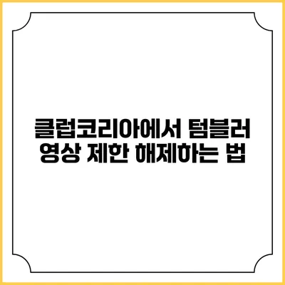 클럽코리아에서 텀블러 영상 제한 해제하는 법