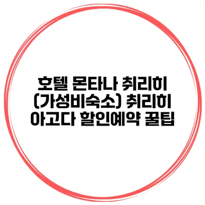 호텔 몬타나 취리히 (가성비숙소) 취리히 아고다 할인예약 꿀팁