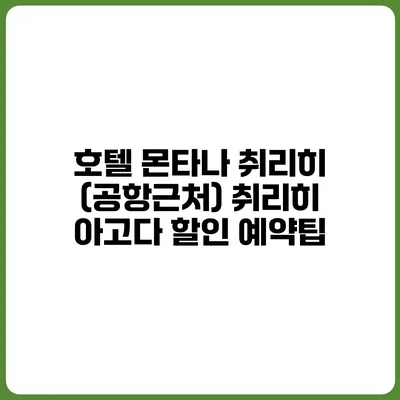 호텔 몬타나 취리히 (공항근처) 취리히 아고다 할인 예약팁
