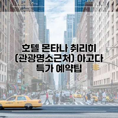 호텔 몬타나 취리히 (관광명소근처) 아고다 특가 예약팁