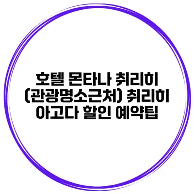 호텔 몬타나 취리히 (관광명소근처) 취리히 아고다 할인 예약팁