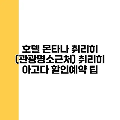 호텔 몬타나 취리히 (관광명소근처) 취리히 아고다 할인예약 팁