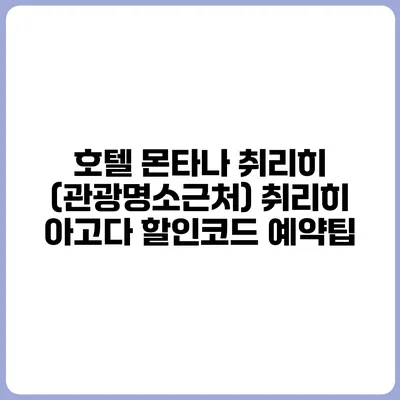 호텔 몬타나 취리히 (관광명소근처) 취리히 아고다 할인코드 예약팁