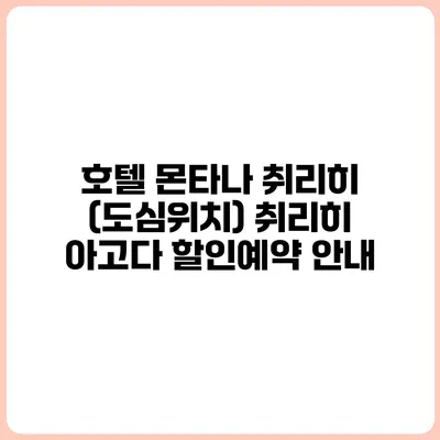 호텔 몬타나 취리히 (도심위치) 취리히 아고다 할인예약 안내