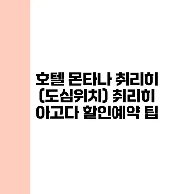 호텔 몬타나 취리히 (도심위치) 취리히 아고다 할인예약 팁