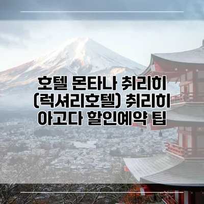 호텔 몬타나 취리히 (럭셔리호텔) 취리히 아고다 할인예약 팁