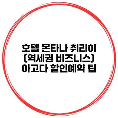 호텔 몬타나 취리히 (역세권 비즈니스) 아고다 할인예약 팁
