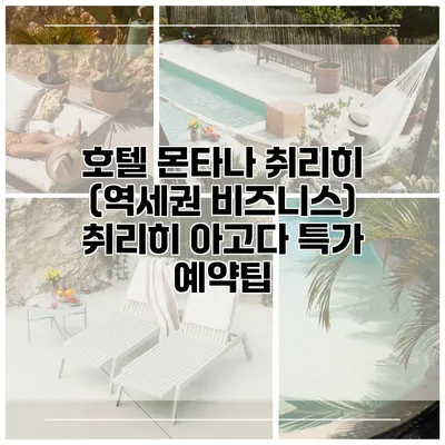 호텔 몬타나 취리히 (역세권 비즈니스) 취리히 아고다 특가 예약팁