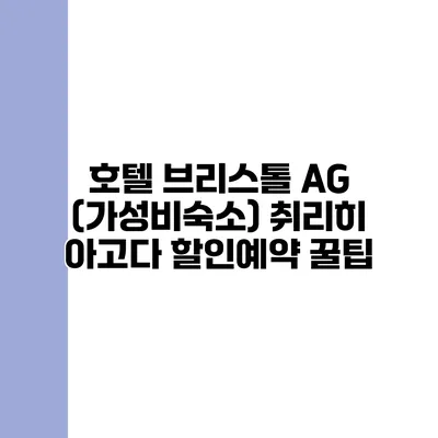 호텔 브리스톨 AG (가성비숙소) 취리히 아고다 할인예약 꿀팁