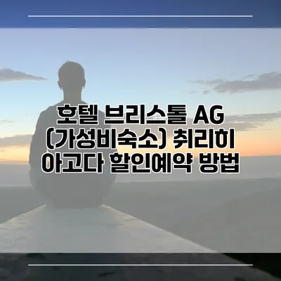 호텔 브리스톨 AG (가성비숙소) 취리히 아고다 할인예약 방법